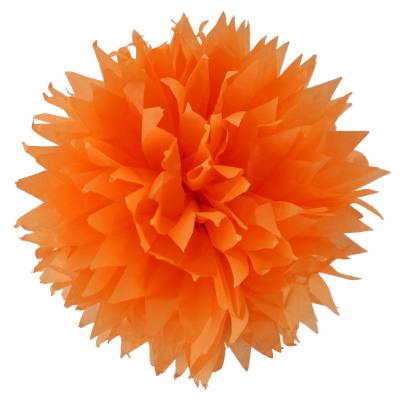 Yüzüklü Ayak Parmak Ayırıcı Makara